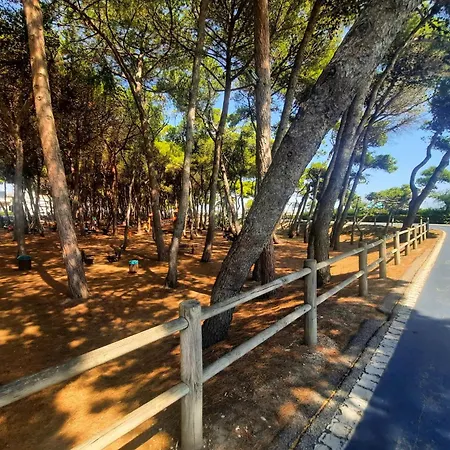 Pinolo Mono Int 5 - Myho Casa Apartment Alba Adriatica